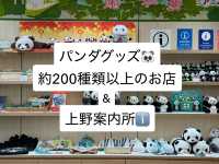 【🇯🇵上野】パンダグッズ約200種類以上のお店🐼&上野に行くならここ寄って！ 🩷