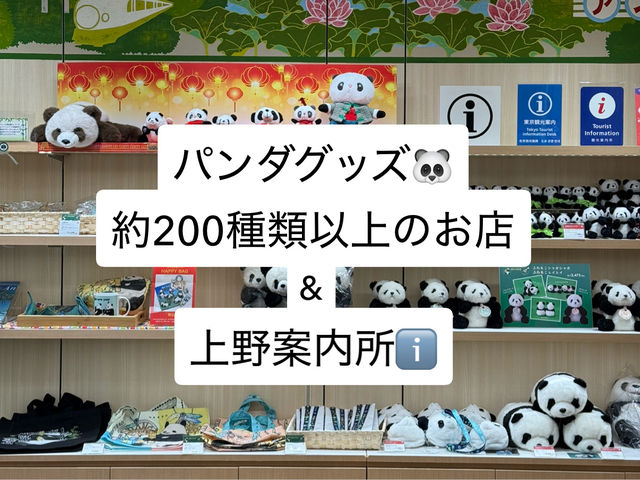 【🇯🇵上野】パンダグッズ約200種類以上のお店🐼&上野に行くならここ寄って！ 🩷
