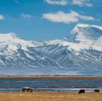 Mount Kailash Spiritual Treckking