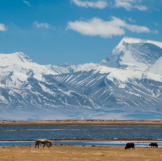 Mount Kailash Spiritual Treckking