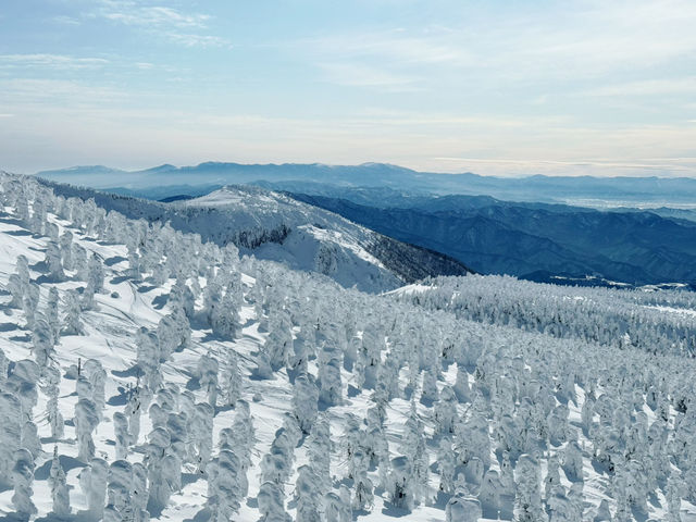 樹冰高原中的滑雪天堂❄️