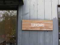 【滋賀🇯🇵】焼物の聖地信楽でいく「TORASARU」