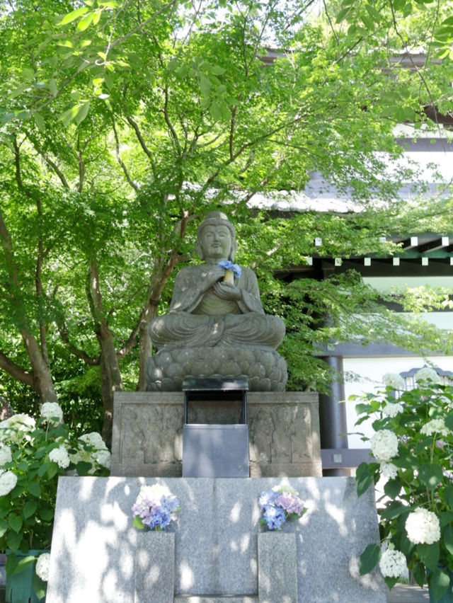  🪷【鎌倉・長谷寺】海と花と観音さまに癒される、やすらぎの寺