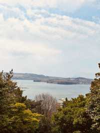 Dolsan Park: Yeosu's Premier Viewpoint and Romantic Haven