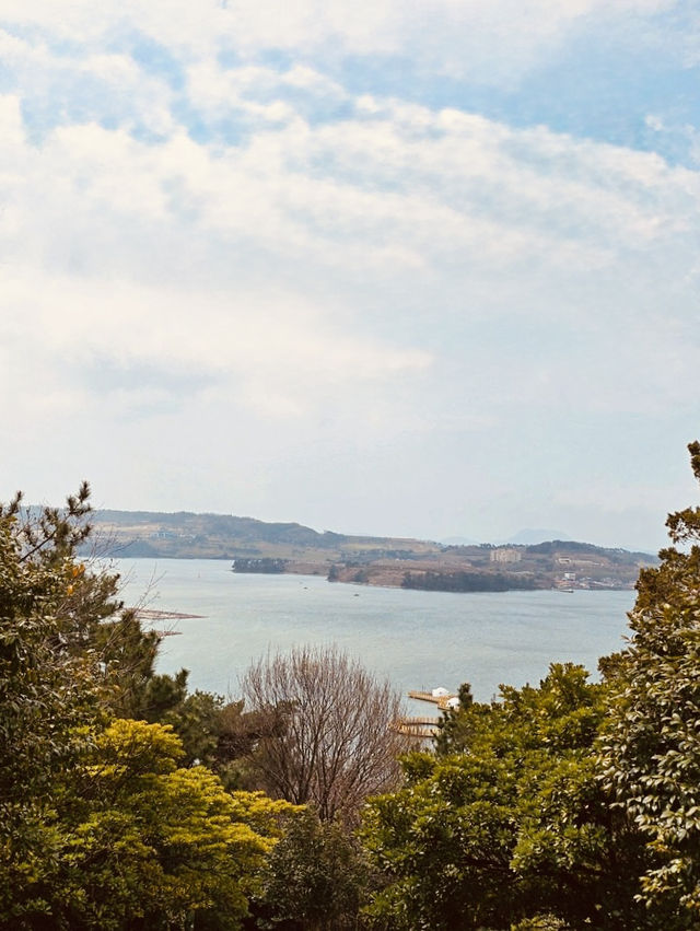 Dolsan Park: Yeosu's Premier Viewpoint and Romantic Haven