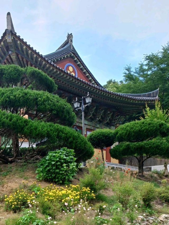 가족이 함께 걷는 숲길 사찰 여행