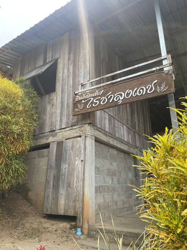 เที่ยวเชียงใหม่ 2วัน 1คืนแบบชิลๆ🏞️