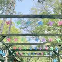 夏の絶景