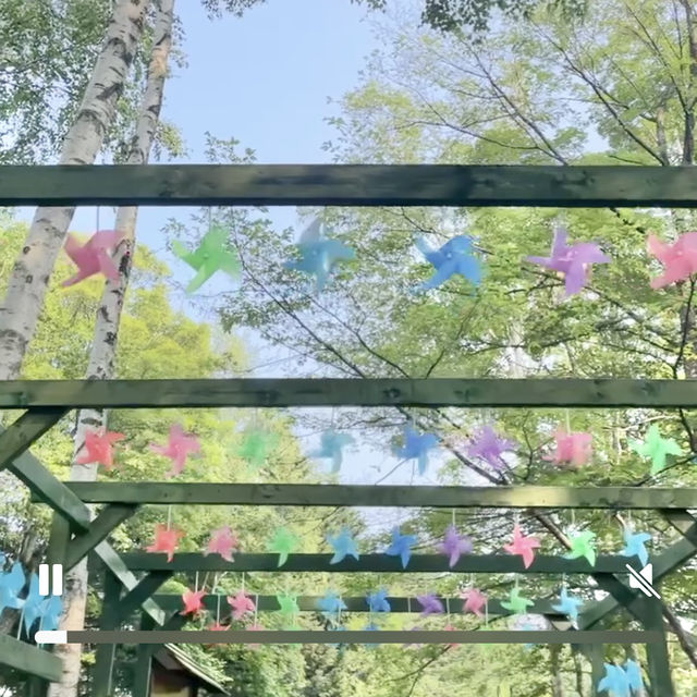 夏の絶景