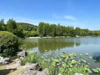 🌿 Yuantouzhu 鼋头渚 — A Peaceful Summer Escape by Taihu Lake