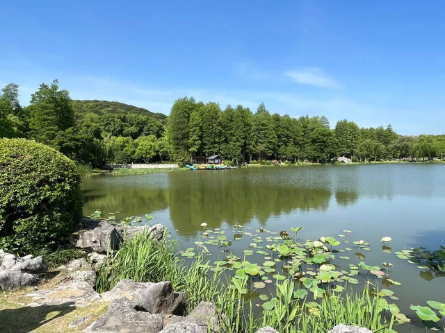 🌿 Yuantouzhu 鼋头渚 — A Peaceful Summer Escape by Taihu Lake