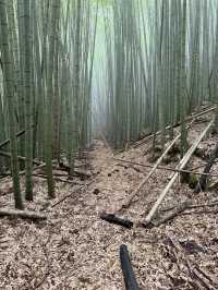 峰市集、原住民族館及民都有山步道走走