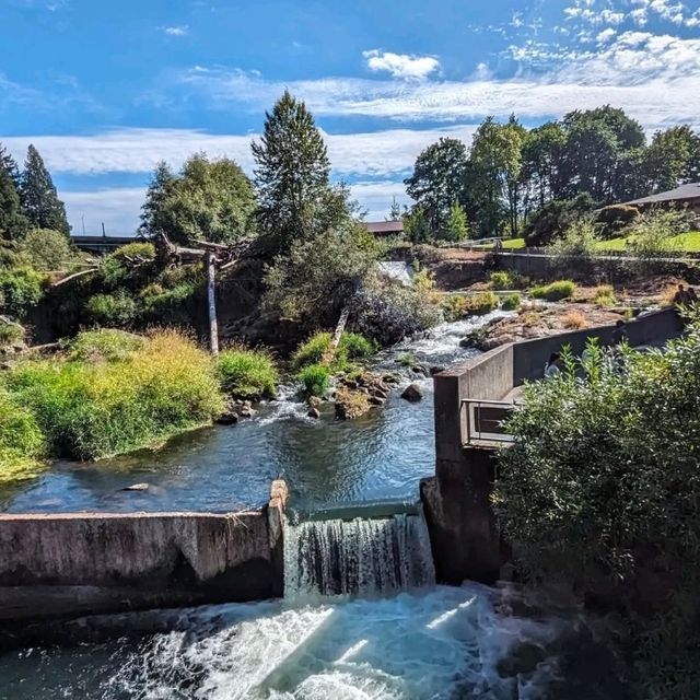 「Tumwater Falls」—静寂の中に響く滝の癒し