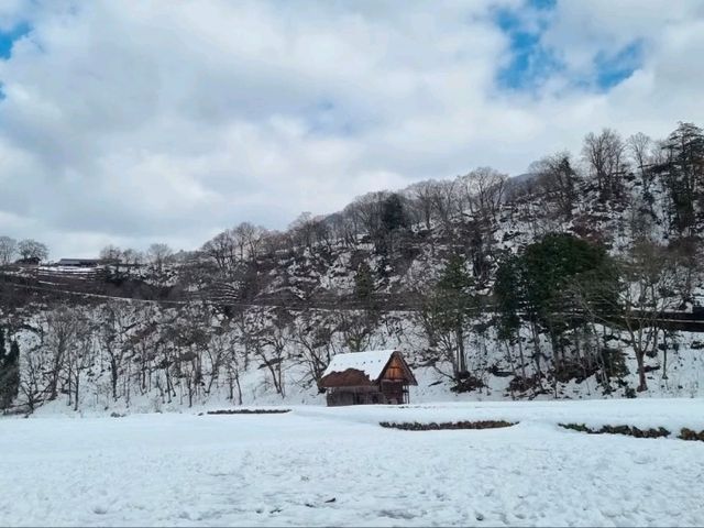 まるで絵本の世界！四季折々の美しさが広がる白川郷
