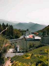 Shizhuo Homestay