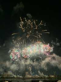 【大阪🇯🇵】淀川花火大会🎆