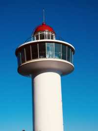 Taejongdae, Busan: A Majestic Coastal Headland of Dramatic Beauty