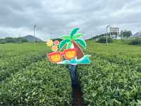 🍵「茶香飄渺，心靈蘇醒：揭開濟州綠茶博物館的緘默詩篇」