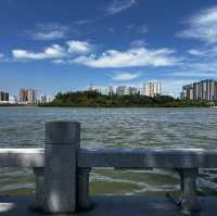 Bailuzhou East Park: Xiamen’s Chill Zone (With 100% Less Tourists)"** 🌿🦢  