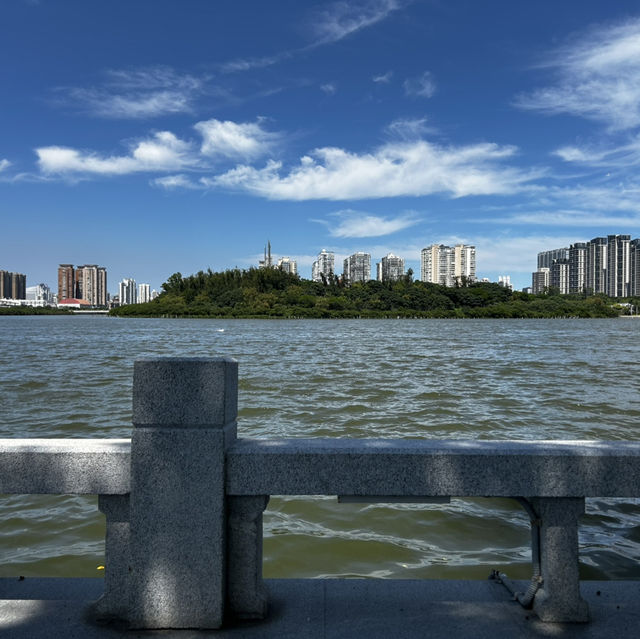 Bailuzhou East Park: Xiamen’s Chill Zone (With 100% Less Tourists)"** 🌿🦢  