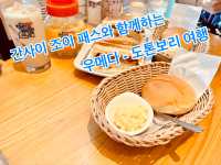 간사이 조이 패스와 함께 하는 우메다 도톤보리 여행✈️