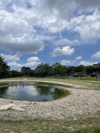 ｜台中｜北屯新都生態公園-城市綠洲