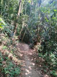 ⛰️ Conquer Nature at Kledang Hill Trail Head, Ipoh! 🌿