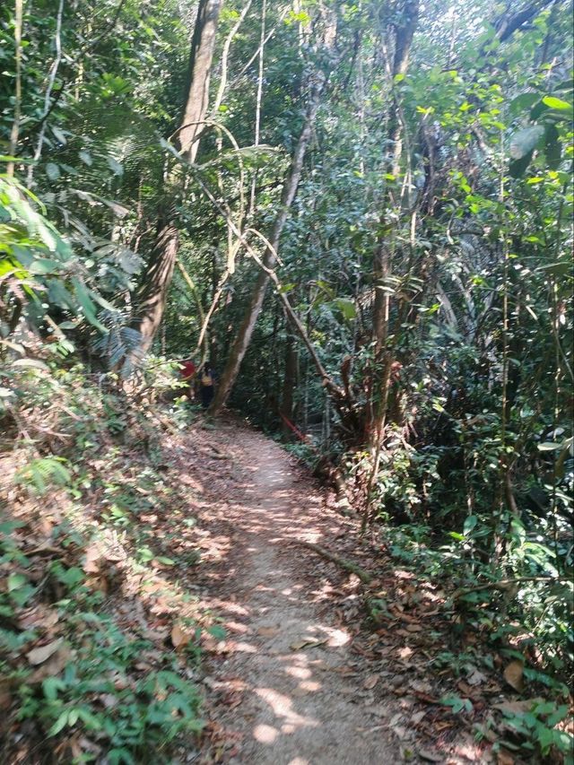 ⛰️ Conquer Nature at Kledang Hill Trail Head, Ipoh! 🌿