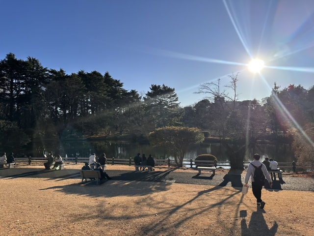 일본 도쿄여행 3일차 일정