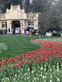 Spring at Prince Bay Park 