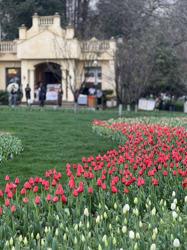 Spring at Prince Bay Park 
