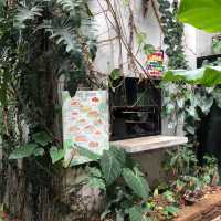 คาเฟ่ในสวน Tree House Cafe ณ หัวหิน