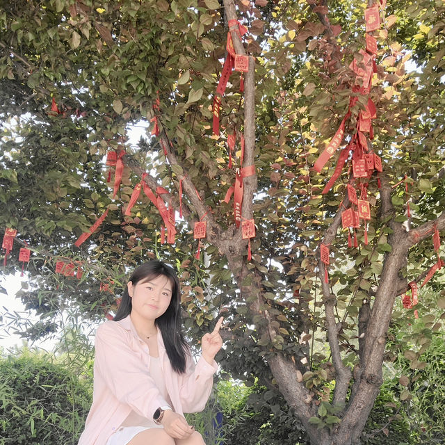 🏯唐대 건축미 그대로! 당산 大唐兴国禅寺 산책기✨