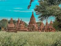 Temples for Days