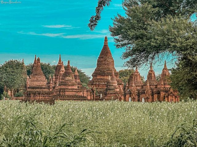 Temples for Days