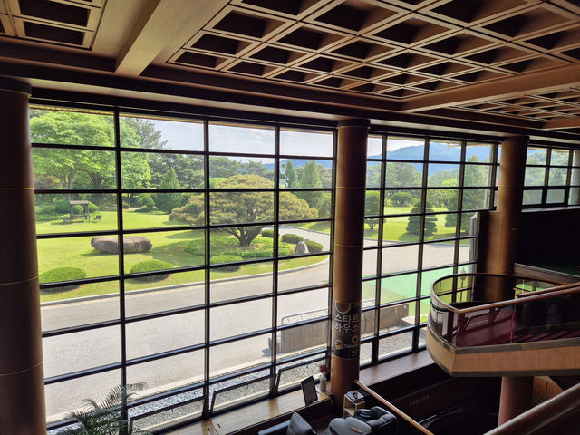 🏞️ 계룡대 체력단련장, 고요한 숲길 속 드라이브 한 스윙