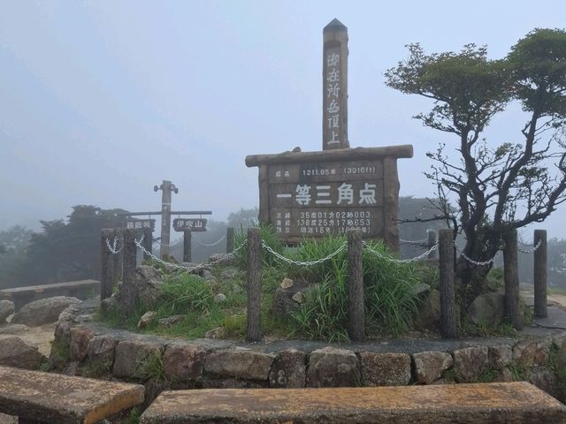 三重山頂秘境！絕美公園四季皆風景！