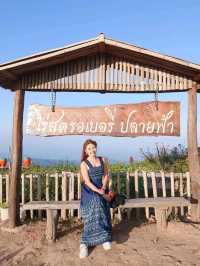 ไร่สตรอเบอรี่ปรายฟ้า เชียงใหม่