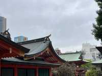 ⛩️🎡🌊 Half-Day in Kobe – Torii Trails & Harbor Lights