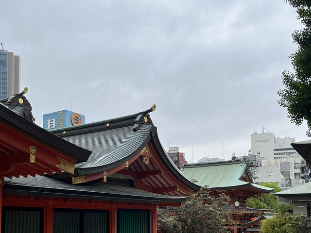 ⛩️🎡🌊 Half-Day in Kobe – Torii Trails & Harbor Lights