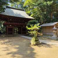 Conquering the Sacred Summit: A Solo Summer Hike Up Mount Jinmu-ji, Kanazawa