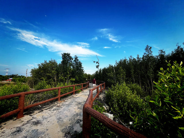 Tua Pek Kong Temple & Mangrove Walk – A Scenic Surprise in Setiawan