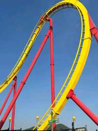 🐬🎢 Ocean Park Hong Kong – Where Animals & Thrills Meet the Sea! 🌊