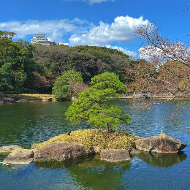 ～壽量院～清幽園林～
