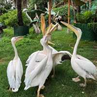～南平九峰動物園是～可愛動物園～