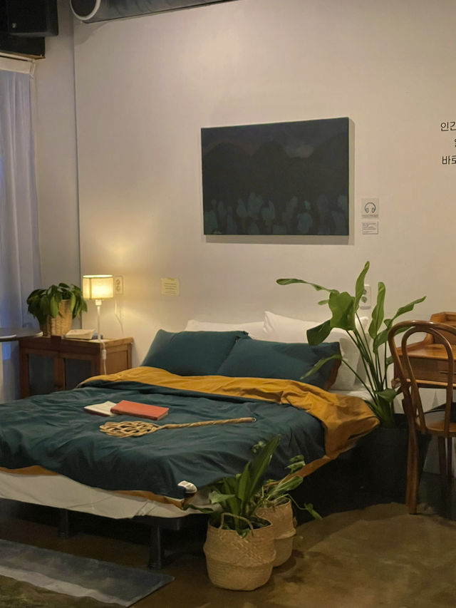 남포 힐링 브런치 카페 채도