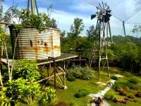 Experience the australian outback in Bird Paradise