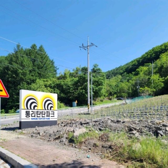 여름에 서늘한 태백여행지☀️탄탄파크