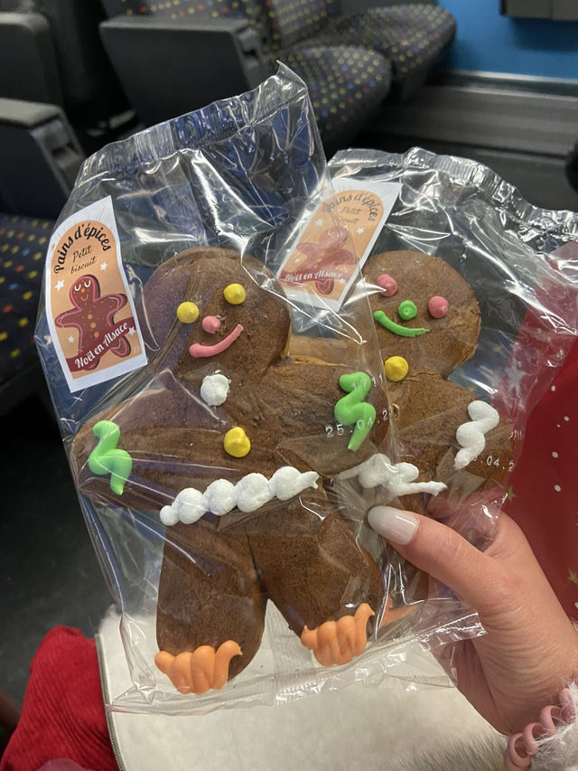 유럽 3대 크리스마스 마켓! 스트라스부르에 가다🎄