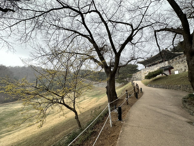🏯歷史控的天堂！漫步清州上黨山城，千年古城牆見證朝鮮風華🏯